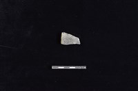 陶片藏品圖，第1張